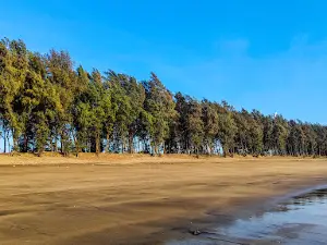Chikhla Beach