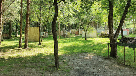 Shot Paintball