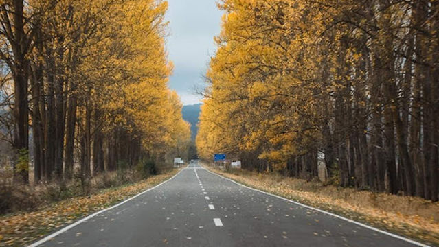 Tianeti Municipality Culture Center