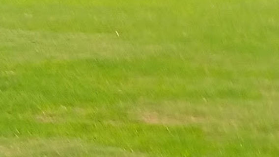 Gobardiha Football ground