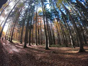 Stratený budzogáň