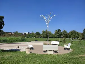 Parco Augusto Daolio