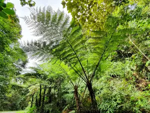 Hala Bala Wildlife Sanctuary