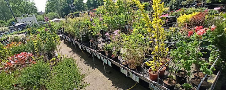 Tuincentrum Milheeze