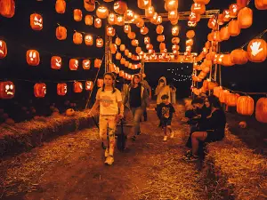 Avon Valley Pumpkin Patch
