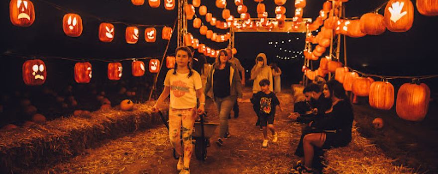 Avon Valley Pumpkin Patch