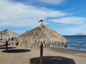 La Negrita Beach