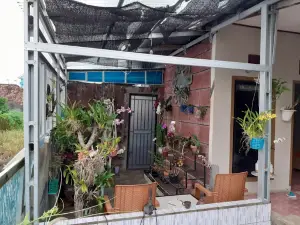 Mie Pangsit dan Mie Ayam Alsa