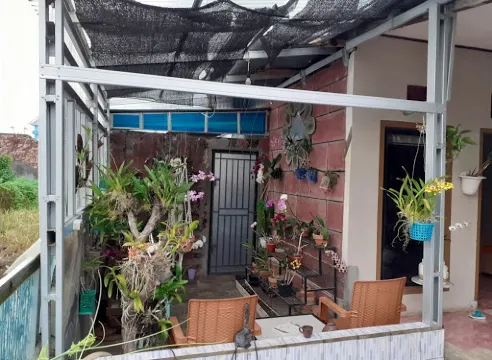 Mie Pangsit dan Mie Ayam Alsa