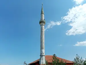 Kocekli Koyu Muhtarligi