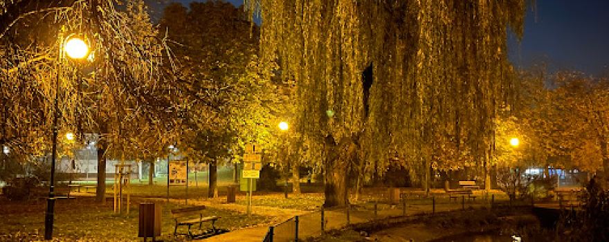 Park Czechowicki