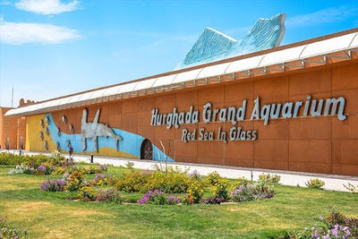 Grande Acquario di Hurghada