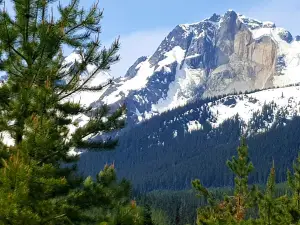 Brookside Campsite