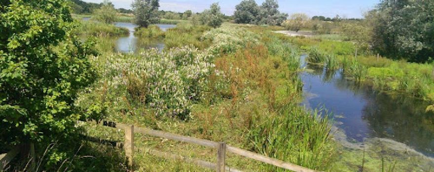 Hornchurch Country Park