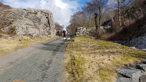 Hølland Gård gartneri