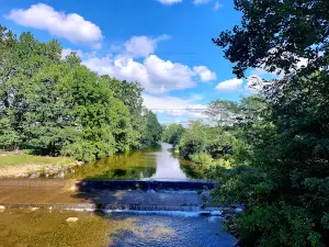 Old Reid Park