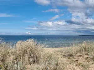 Augu Suurkivi