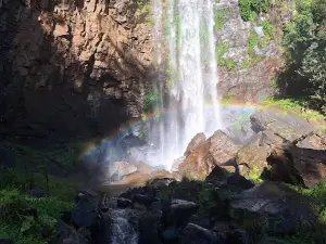 Queen Mary Falls