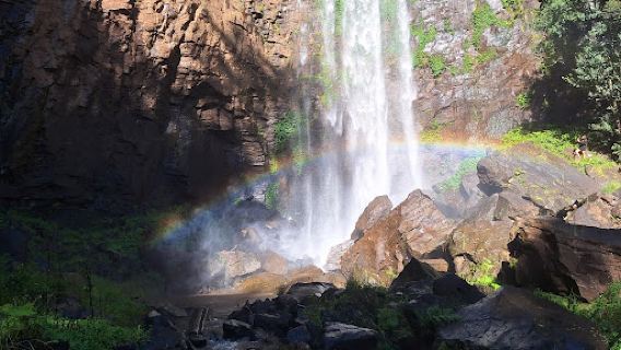 Queen Mary Falls