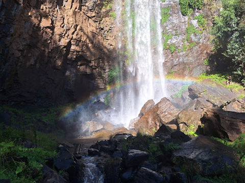 Queen Mary Falls