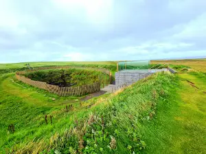 Downpatrick Head