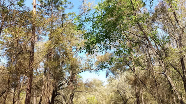 Whispering Pines Pool