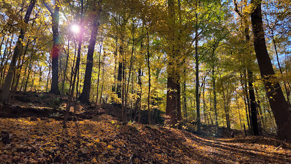 Adell Durbin Park
