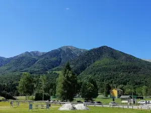 Pineta di Santa Maria Maggiore