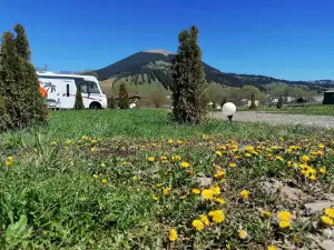 Camping Bucovina