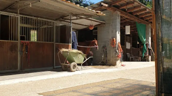 ASD La Paquita Farm Tickets 2025 Promos Prices Reviews Opening