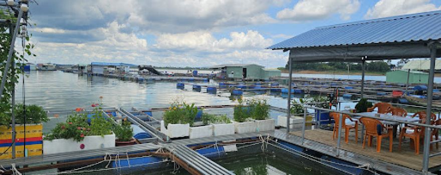 Bảo Sam Camping Hồ Trị An - Chí Bảo Trips