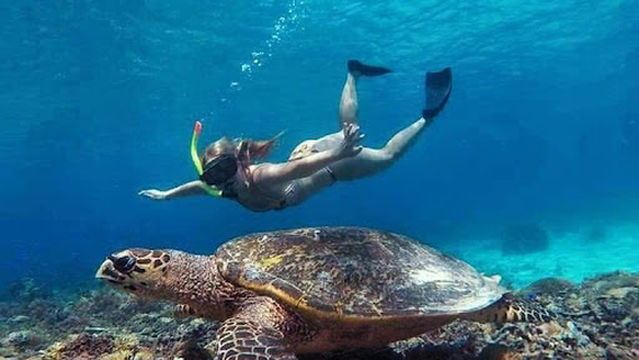 TRAWANGAN SNORKELING CENTER