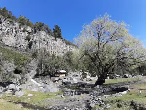 El santuario