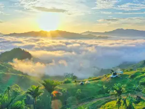 Nóc Tăk Pổ