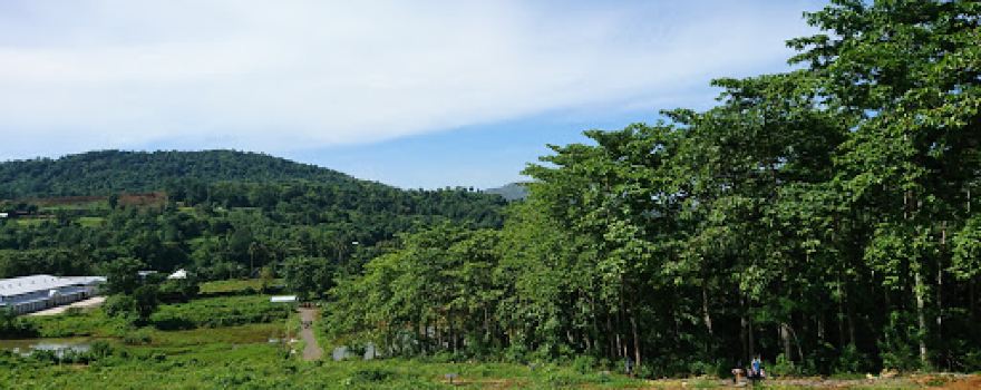 Wisata Kebun Kurban