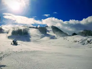 Ski Pista Bigell