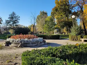 Muzeum Regionalne w Bełchatowie - Dawny Dwór Olszewskich