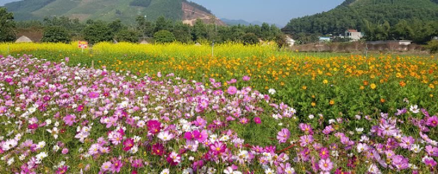 Thien Duong Hoa Quang La