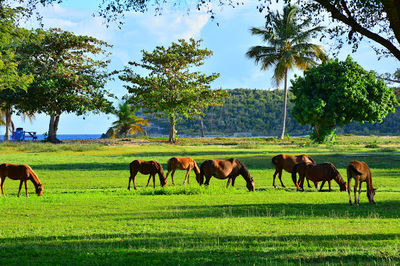 Bahía del Sol State Park