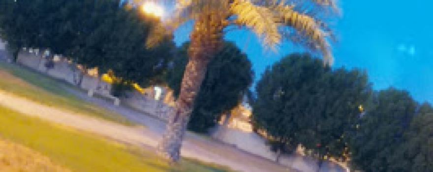 Oyun City Municipality Park