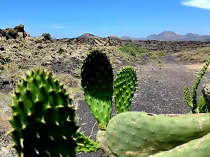 Las Grietas