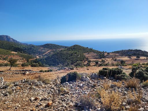Panorama Kafe