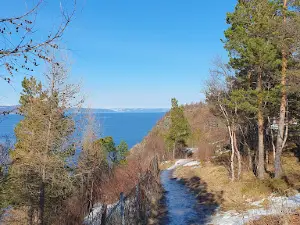 Korsvika