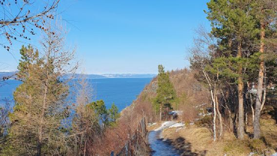 Korsvika