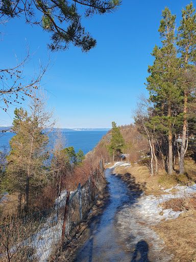 Korsvika