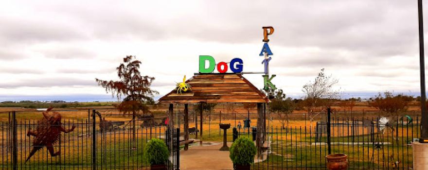 Dog Park