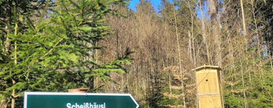 Waldlabyrinth am Schachwanderweg