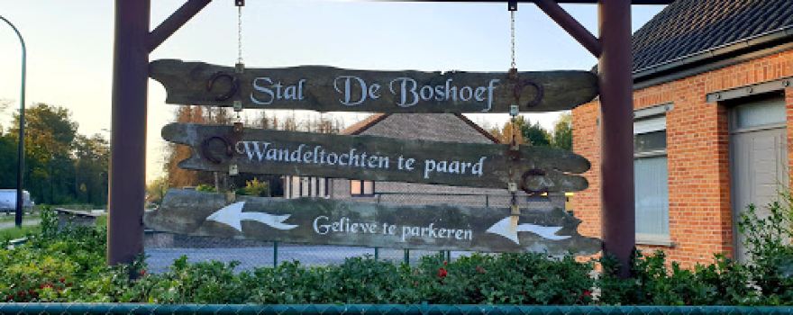 De Boshoef, Equitation