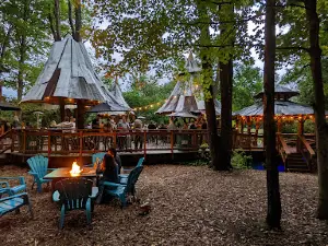 The Blueberry Treehouse Farm & The Treehouse Café