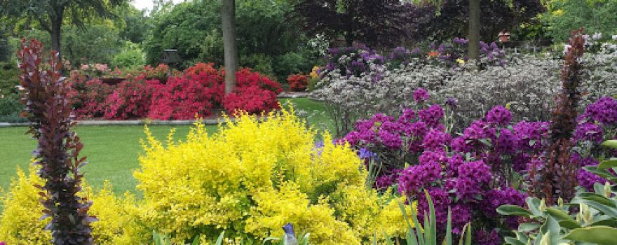Ribblesdale Gardens